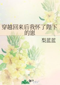 穿越回来后我怀了陛下的崽